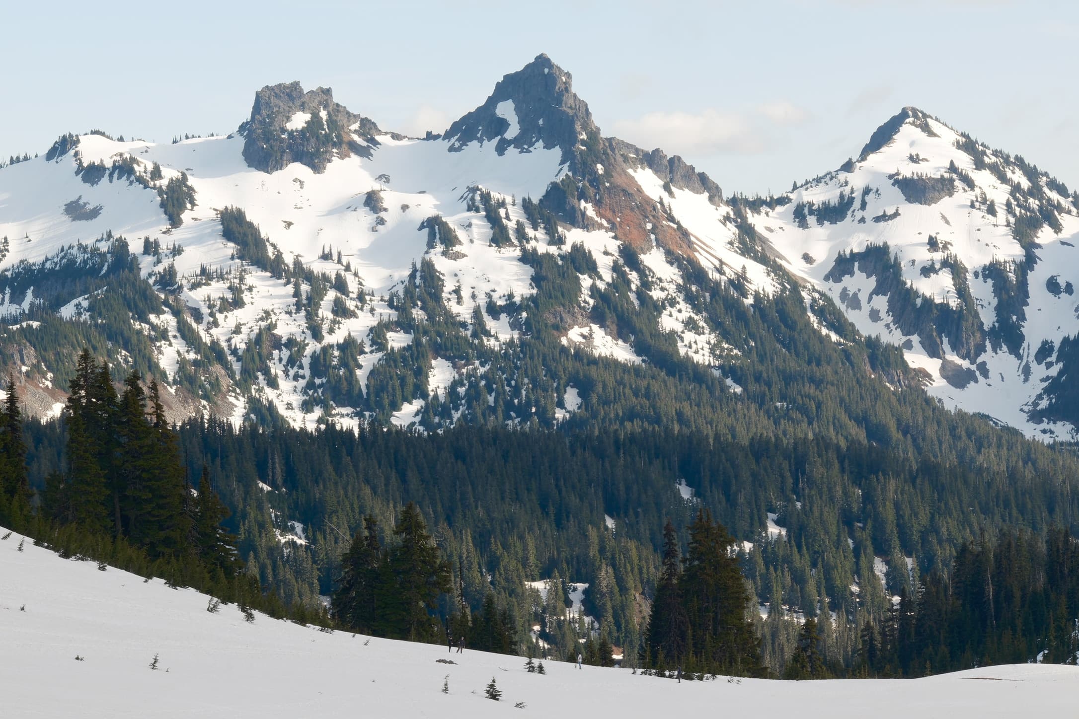 Mount Rainier View
